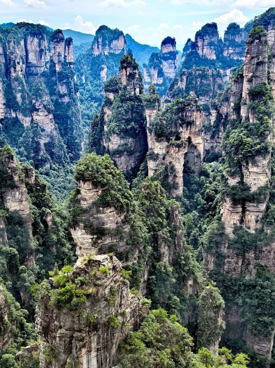 Forest Park—Yuanjiajie—Tianzi Mountain